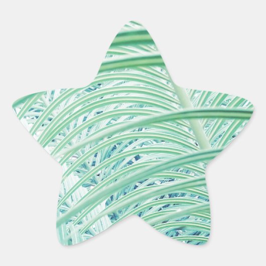 Zachte Groene Plant Palmblad Ster Sticker (Voorkant)