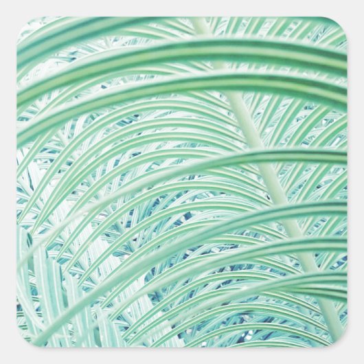 Zachte Groene Plant Palmblad Vierkante Sticker (Voorkant)