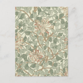 Zachte Groene William Morris Honeysuckle Briefkaart