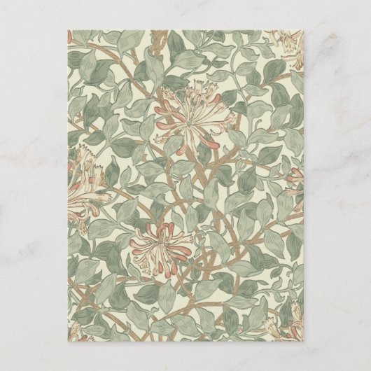 Zachte Groene  William Morris Honeysuckle Briefkaart (Voorkant)