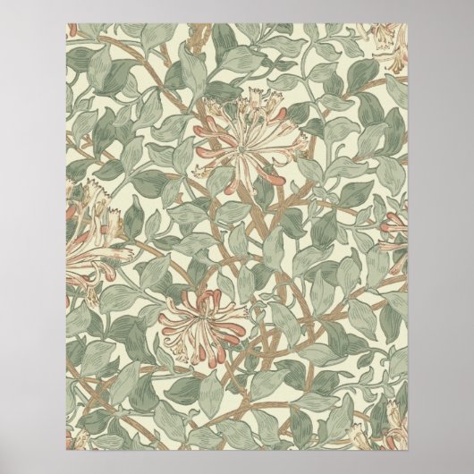 Zachte Groene  William Morris Honeysuckle Poster (Voorkant)