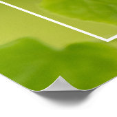 Zachte groene zomer poster (Hoek)