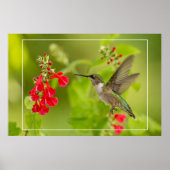 Zachte groene zomer poster (Voorkant)