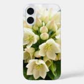 Zachte hellebores Case-Mate iPhone case (Achterkant)