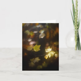 Zachte Herfstlicht Bladeren Foto Kaart