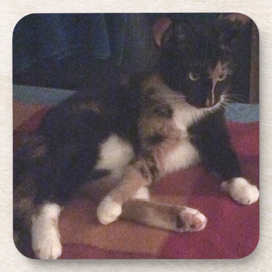 Zachte Katten poten Drankjes Onderzetter (Voorkant)