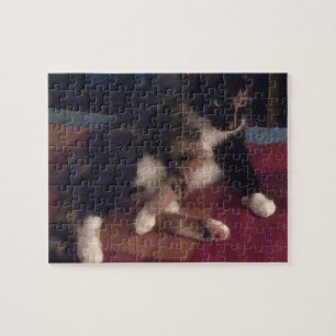 Zachte Katten poten Legpuzzel