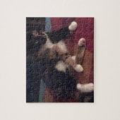 Zachte Katten poten Legpuzzel (Verticaal)