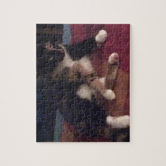 Zachte Katten poten Legpuzzel (Verticaal)