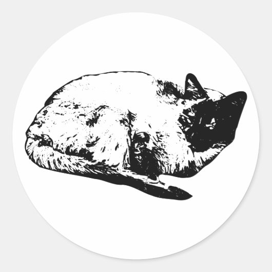 Zachte katten slaap, winter editie ronde sticker (Voorkant)