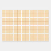 Zachte Kleur Verticale Streeppatroon Puntontwerp Inpakpapier Vel (Voorkant)