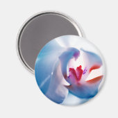 Zachte kleuren, orchidee afdrukmagneet magneet (Voorkant / Achterkant)