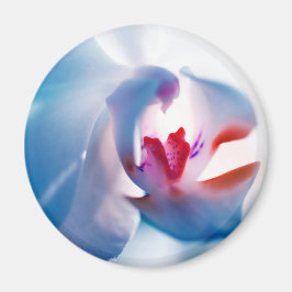 Zachte kleuren, orchidee afdrukmagneet magneet