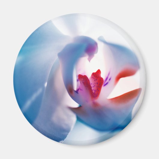 Zachte kleuren, orchidee afdrukmagneet magneet (Voorkant)