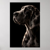 Zachte Kolos Poster (Voorkant)