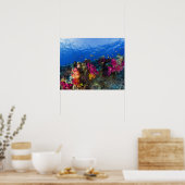 Zachte koralen op ondiep rif, Fiji Poster (Keuken)