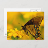 Zachte landing briefkaart (Voorkant / Achterkant)