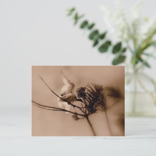 zachte landing briefkaart (Staand voorkant)