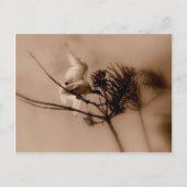 zachte landing briefkaart (Voorkant)