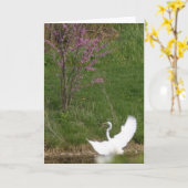 Zachte landing kaart (Gele Bloem)