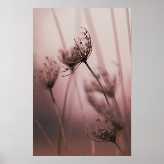 Zachte lichte wilde bloemzaadhoofden poster (Voorkant)