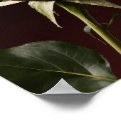 "Zachte maar gevaarlijke" minimalistische muurkuns Poster (Hoek)