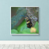 Zachte Macro Natuur Kunst Opgespannen Canvas Print (Insitu (Houten vloer))