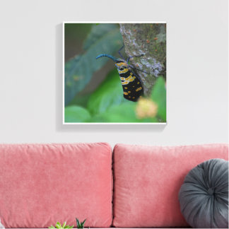 Zachte Macro Natuur Kunst Opgespannen Canvas Print