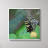 Zachte Macro Natuur Kunst Opgespannen Canvas Print (Voorkant)