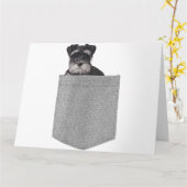 Zachte Miniatuur Schnauzer Knuffel Hond In Zakform Kaart (Gele Bloem)