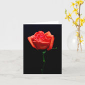 Zachte oranjeroos kaart (Gele Bloem)