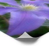 Zachte Paarse Clematis Vloer Petals Abstract Poster (Hoek)