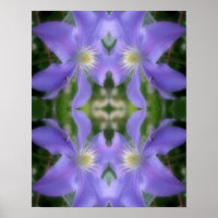 Zachte Paarse Clematis Vloer Petals Abstract