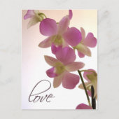 Zachte paarse orchidee briefkaart (Voorkant)