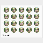 Zachte Panda Bamboe Tuin Sticker (Vel)