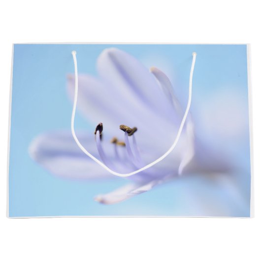 Zachte Pastel Blauw Paarse Vloer Groot Cadeauzakje (Voorkant)