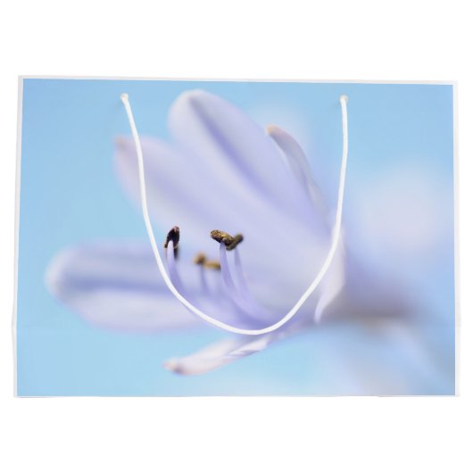 Zachte Pastel Blauw Paarse Vloer Groot Cadeauzakje (Achterkant)