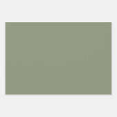 Zachte Pastel Sterren Gestreept Inpakpapier Vel (Voorkant 3)