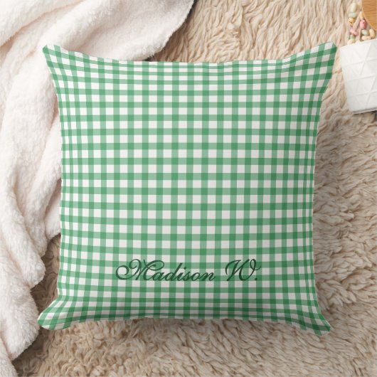 Zachte Pastelgroene Gingham Patroon Kussen (Deken)