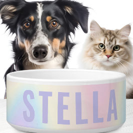 Zachte pastelregenboog, trendy modern minimaal voerbakje