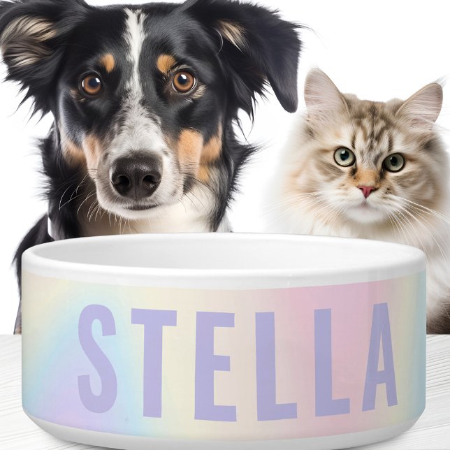 Zachte pastelregenboog, trendy modern minimaal voerbakje (Creator heeft geüpload)