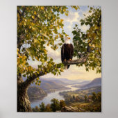 Zachte Patriottische Amerikaanse Zeearend Poster (Voorkant)