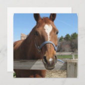 Zachte quarter-paarden kaart (Voorkant / Achterkant)