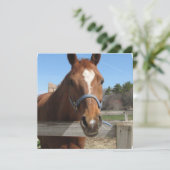 Zachte quarter-paarden kaart (Staand voorkant)