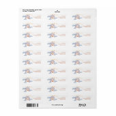 Zachte Regenboog Sterren Retouradres Label (Full Sheet)
