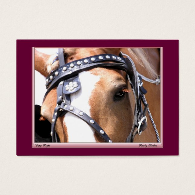 Zachte reuzenprofielkaart,  1 visitekaartje (Voorkant)