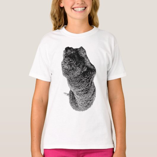 Zachte rondingen van loyaliteit t-shirt (Voorkant)