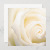 Zachte Roos, platte Kaart afdrukken (Voorkant / Achterkant)