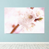 Zachte roze abrikozenbloemen in het voorjaar canvas afdruk (Insitu (Houten vloer))