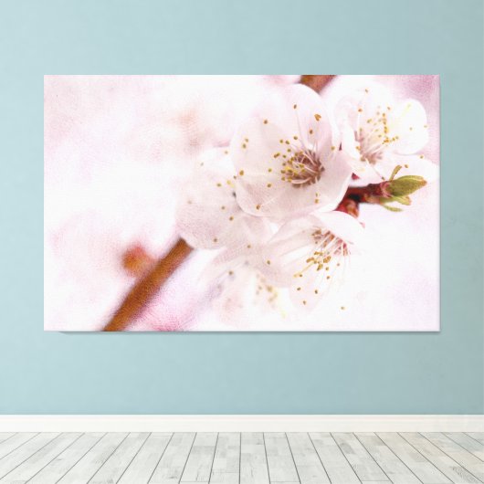 Zachte roze abrikozenbloemen in het voorjaar canvas afdruk (Insitu (Houten vloer))